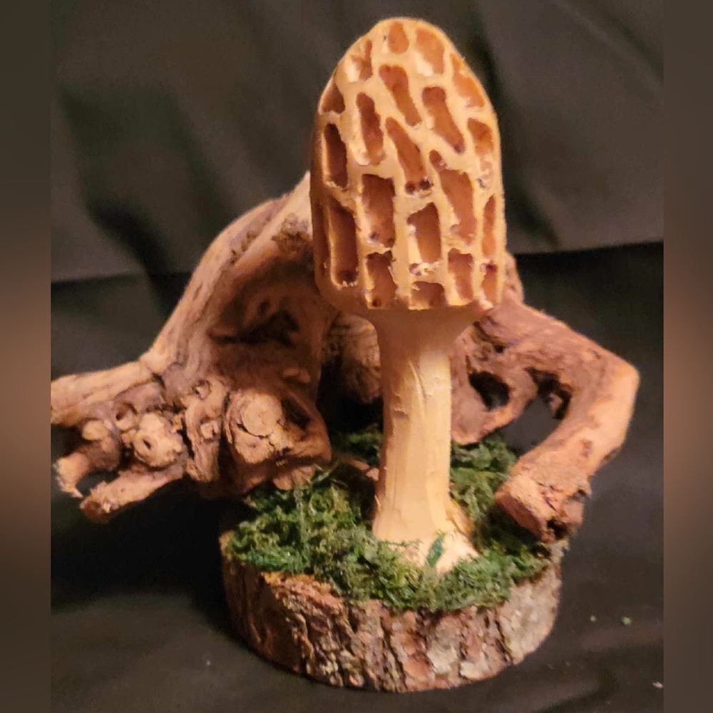 Wooden Morel Mushroom Sculpture with Moss Base